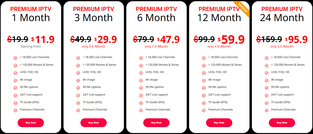 IPTV Door review the best iptv service provider for 2025